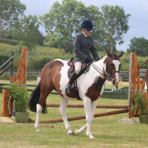 Horse & Pony Events
